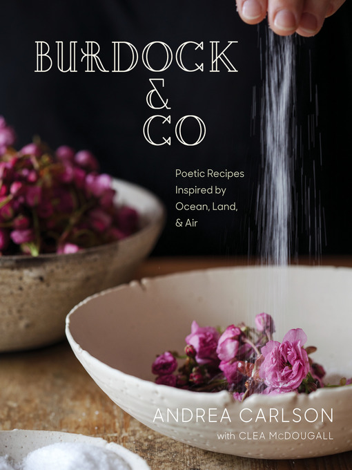 Cover image for Burdock & Co